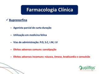  Buprenorfina
– Agonista parcial de curta duração
– Utilização em medicina felina
– Vias de administração: P.O, S.C, I.M, I.V
– Efeitos adversos comuns: constipação
– Efeitos adversos incomuns: náusea, êmese, bradicardia e convulsão
49
Farmacologia Clínica
 
