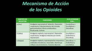 Mecanismo de Acción
de los Opioides
 