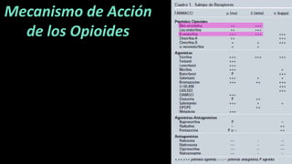Mecanismo de Acción
de los Opioides
 