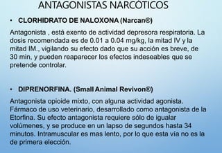 Revivon OPIOIDES.pptx