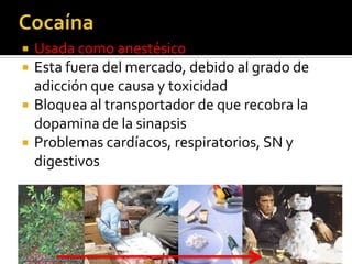  Usada como anestésico
 Esta fuera del mercado, debido al grado de
adicción que causa y toxicidad
 Bloquea al transportador de que recobra la
dopamina de la sinapsis
 Problemas cardíacos, respiratorios, SN y
digestivos
 