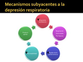 Respuesta
ventilatoria
Respiración
Estimulada
Por hipoxia
Rigidez de la
pared torácica
Permeabilidad
Producir
apnea
 