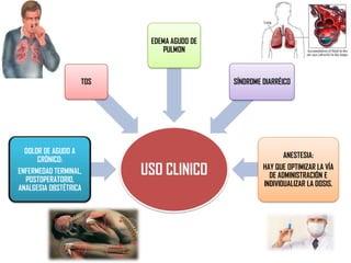 EDEMA AGUDO DE
PULMON

TOS

DOLOR DE AGUDO A
CRÓNICO:
ENFERMEDAD TERMINAL,
POSTOPERATORIO,
ANALGESIA OBSTÉTRICA

SÍNDROME DIARRÉICO

USO CLINICO

ANESTESIA:
HAY QUE OPTIMIZAR LA VÍA
DE ADMINISTRACIÓN E
INDIVIDUALIZAR LA DOSIS.

 