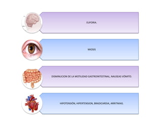 EUFORIA.

MIOSIS

DISMINUCION DE LA MOTILIDAD GASTROINTESTINAL, NAUSEAS VÓMITO.

HIPOTENSIÓN, HIPERTENSION, BRADICARDIA, ARRITMIAS.

 