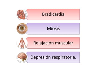 Bradicardia
Miosis
Relajación muscular
Depresión respiratoria.

 