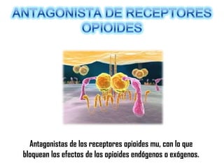 Antagonistas de los receptores opioides mu, con lo que
bloquean los efectos de los opioides endógenos o exógenos.

 