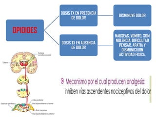 DOSIS TX EN PRESENCIA
DE DOLOR

DISMINUYE DOLOR

DOSIS TX EN AUSENCIA
DE DOLOR

NAUSEAS, VOMITO, SOM
NOLENCIA, DIFICULTAD
PENSAR, APATIA Y
DISMUNICIUON
ACTIVIDAD FISICA.

OPIOIDES

 