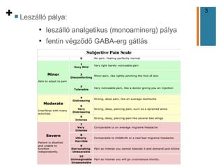 3
+n Leszálló pálya:
●
leszálló analgetikus (monoaminerg) pálya
●
fentin végződő GABA-erg gátlás
 