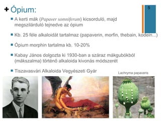 5
+
n A kerti mák (Papaver somniferum) kicsorduló, majd
megszilárduló tejnedve az ópium
n Kb. 25 féle alkaloidát tartalmaz (papaverin, morfin, thebain, kodein...)
n Ópium morphin tartalma kb. 10-20%
n Kabay János dolgozta ki 1930-ban a száraz mákgubókból
(mákszalma) történő alkaloida kivonás módszerét
n Tiszavasvári Alkaloida Vegyészeti Gyár
Ópium:
Lachryma papaveris
 