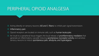 PERIPHERAL OPIOID ANALGESIA
 Acting directly on sensory neurons (Aδ and C-fibers) to inhibit pain signal transmission.
 Inflammatory pain
 Opioid receptors are located on immune cells, such as human leukocytes
 An insult to a peripheral tissue triggers the local release of proinflammatory mediators that
generate an inflammatory cascade inducing spontaneous nociceptor activity and sensitize
sensory neurons to induce spontaneous pain, allodynia, and hyperalgesia
 
