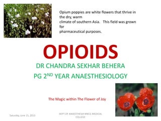 OPIOIDSDR CHANDRA SEKHAR BEHERA
PG 2ND YEAR ANAESTHESIOLOGY
The Magic within The Flower of Joy
Opium poppies are white flowers that thrive in
the dry, warm
climate of southern Asia. This field was grown
for
pharmaceutical purposes.
Saturday, June 15, 2013 1
DEPT OF ANAESTHESIA MKCG MEDICAL
COLLEGE
 