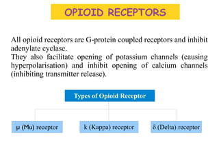 All opioid receptors are G-protein coupled receptors and inhibit
adenylate cyclase.
They also facilitate opening of potassium channels (causing
hyperpolarisation) and inhibit opening of calcium channels
(inhibiting transmitter release).
Types of Opioid Receptor
(Mu)μ receptor k (Kappa) receptor δ (Delta) receptor
OPIOID RECEPTORS
 
