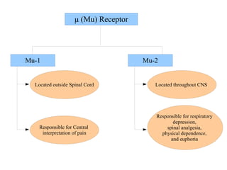 μ (Mu) Receptor
Mu-1 Mu-2
Located outside Spinal Cord
Responsible for Central
interpretation of pain
Located throughout CNS
Responsible for respiratory
depression,
spinal analgesia,
physical dependence,
and euphoria
 