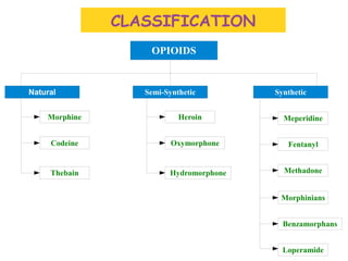 OPIOIDS
Natural Semi-Synthetic Synthetic
Morphine
Codeine
Thebain
Heroin
Oxymorphone
Hydromorphone
Meperidine
Methadone
Morphinians
Benzamorphans
Fentanyl
Loperamide
CLASSIFICATION
 