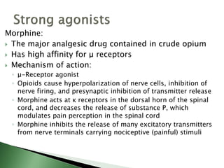 Morphine:
 The major analgesic drug contained in crude opium
 Has high affinity for μ receptors
 Mechanism of action:
◦ μ-Receptor agonist
◦ Opioids cause hyperpolarization of nerve cells, inhibition of
nerve firing, and presynaptic inhibition of transmitter release
◦ Morphine acts at κ receptors in the dorsal horn of the spinal
cord, and decreases the release of substance P, which
modulates pain perception in the spinal cord
◦ Morphine inhibits the release of many excitatory transmitters
from nerve terminals carrying nociceptive (painful) stimuli
 