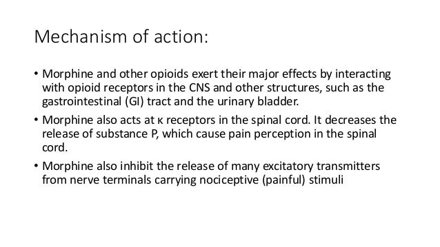 morphine mechanism of action