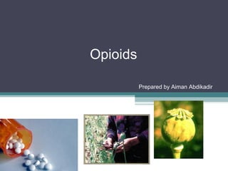Opioids
Prepared by Aiman Abdikadir
 