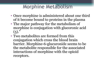 Morphine Metabolism
• Once morphine is administered about one third 
of it become bound to proteins in the plasma 
• The major pathway for the metabolism of 
morphine is conjugation with glucoronic acid 
(5).” 
• Two metabolites are formed from this 
conjugation which cross the blood brain 
barrier. Morphine-6-glucuronide seems to be 
the metabolite responsible for the associated 
interactions of morphine with the opioid 
receptors. 
 