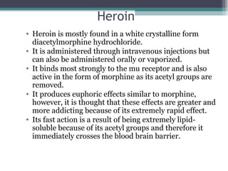 Heroin
• Heroin is mostly found in a white crystalline form
diacetylmorphine hydrochloride.
• It is administered through intravenous injections but
can also be administered orally or vaporized.
• It binds most strongly to the mu receptor and is also
active in the form of morphine as its acetyl groups are
removed.
• It produces euphoric effects similar to morphine,
however, it is thought that these effects are greater and
more addicting because of its extremely rapid effect.
• Its fast action is a result of being extremely lipid-
soluble because of its acetyl groups and therefore it
immediately crosses the blood brain barrier.
 