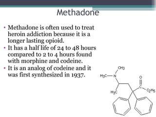 Methadone
• Methadone is often used to treat
heroin addiction because it is a
longer lasting opioid.
• It has a half life of 24 to 48 hours
compared to 2 to 4 hours found
with morphine and codeine.
• It is an analog of codeine and it
was first synthesized in 1937.
 
