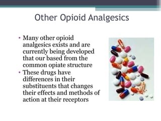 Other Opioid Analgesics
• Many other opioid
analgesics exists and are
currently being developed
that our based from the
common opiate structure
• These drugs have
differences in their
substituents that changes
their effects and methods of
action at their receptors
 