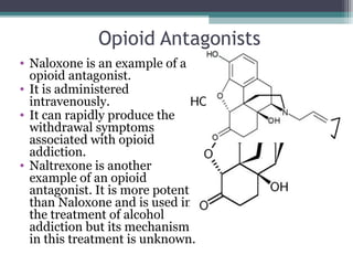 Opioid Antagonists
• Naloxone is an example of a
opioid antagonist.
• It is administered
intravenously.
• It can rapidly produce the
withdrawal symptoms
associated with opioid
addiction.
• Naltrexone is another
example of an opioid
antagonist. It is more potent
than Naloxone and is used in
the treatment of alcohol
addiction but its mechanism
in this treatment is unknown.
 