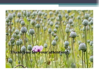 • Thank you for your attention!
 