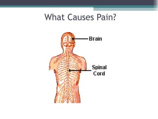 What Causes Pain?
 