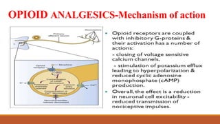 OPIOID ANALGESICS-Mechanism of action
 