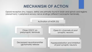 OPIOIDS: Pharmacology, Clinical uses & Adverse effects | PPTX