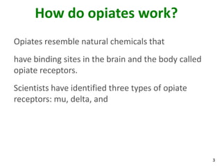 3
How do opiates work?
Opiates resemble natural chemicals that
have binding sites in the brain and the body called
opiate receptors.
Scientists have identified three types of opiate
receptors: mu, delta, and
 