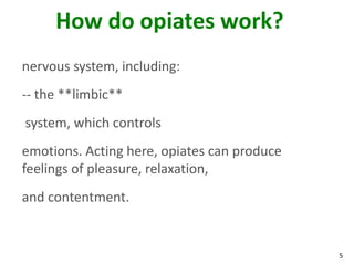 5
How do opiates work?
nervous system, including:
-- the **limbic**
system, which controls
emotions. Acting here, opiates can produce
feelings of pleasure, relaxation,
and contentment.
 