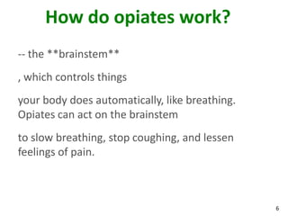 6
How do opiates work?
-- the **brainstem**
, which controls things
your body does automatically, like breathing.
Opiates can act on the brainstem
to slow breathing, stop coughing, and lessen
feelings of pain.
 