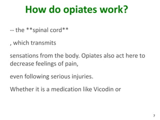 7
How do opiates work?
-- the **spinal cord**
, which transmits
sensations from the body. Opiates also act here to
decrease feelings of pain,
even following serious injuries.
Whether it is a medication like Vicodin or
 
