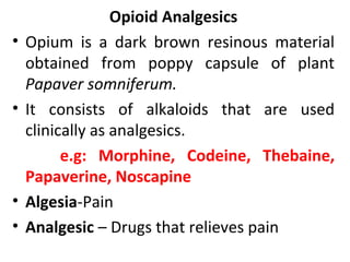 Opioid Analgesics
• Opium is a dark brown resinous material
obtained from poppy capsule of plant
Papaver somniferum.
• It consists of alkaloids that are used
clinically as analgesics.
e.g: Morphine, Codeine, Thebaine,
Papaverine, Noscapine
• Algesia-Pain
• Analgesic – Drugs that relieves pain
 