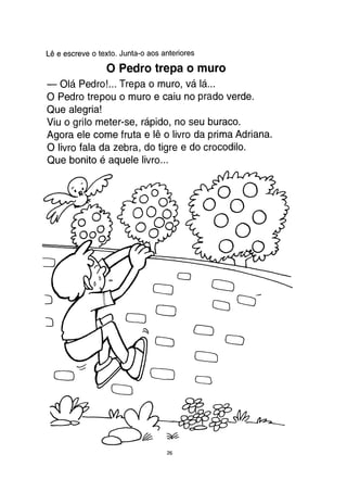 O piratinha (2 vol)