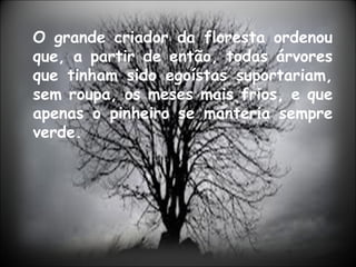 O grande criador da floresta ordenou
que, a partir de então, todas árvores
que tinham sido egoístas suportariam,
sem roupa, os meses mais frios, e que
apenas o pinheiro se manteria sempre
verde.
 