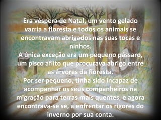 Era véspera de Natal, um vento gelado
  varria a floresta e todos os animais se
 encontravam abrigados nas suas tocas e
                  ninhos.
A única exceção era um pequeno pássaro,
um pisco aflito que procurava abrigo entre
           as árvores da floresta.
  Por ser pequeno, tinha sido incapaz de
  acompanhar os seus companheiros na
migração para terras mais quentes, e agora
encontrava-se se, a enfrentar os rigores do
          inverno por sua conta.
 