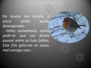 De árvore em árvore, o
pisco      pedia      ajuda,
desesperado:
- Velho castanheiro, venho
pedir-te que me deixes
pousar entre as tuas folhas.
Este frio gela-me os ossos,
mal consigo voar…
 