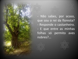 - Não sabes, por acaso,
que sou o rei da floresta?
- Responde o castanheiro.
- E que entre as minhas
folhas só permito aves
nobres?...
 
