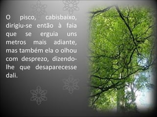 O pisco, cabisbaixo,
dirigiu-se então à faia
que se erguia uns
metros mais adiante,
mas também ela o olhou
com desprezo, dizendo-
lhe que desaparecesse
dali.
 