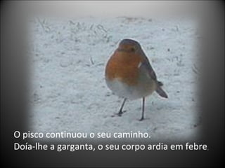 O pisco continuou o seu caminho.
Doía-lhe a garganta, o seu corpo ardia em febre   ,
 