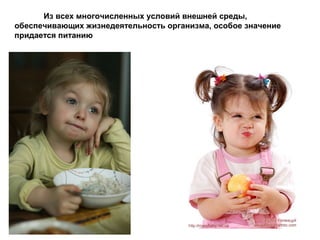 Из всех многочисленных условий внешней среды,
обеспечивающих жизнедеятельность организма, особое значение
придается питанию
 