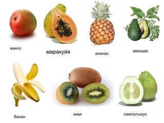 манго
маракуйя ананас
авакадо
банан
киви пампельмус
 