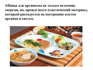 Пища для организма не только источник
энергии, но, прежде всего пластический материал,
который расходуется на построение клеток
органов и систем.
 