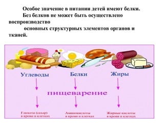 Особое значение в питании детей имеют белки.
Без белков не может быть осуществлено
воспроизводство
основных структурных элементов органов и
тканей.
 