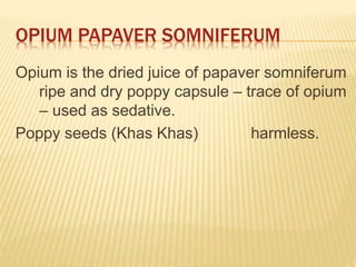 OPIUM PAPAVER SOMNIFERUM
Opium is the dried juice of papaver somniferum
ripe and dry poppy capsule – trace of opium
– used as sedative.
Poppy seeds (Khas Khas) harmless.
 