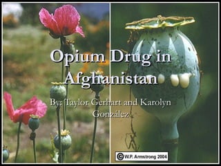 Opium Drug inOpium Drug in
AfghanistanAfghanistan
By: Taylor Gerhart and KarolynBy: Taylor Gerhart and Karolyn
GonzGonzálezález
 