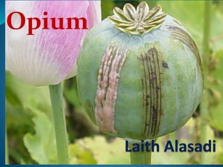 Opium
 