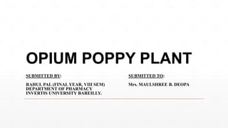 OPIUM POPPY PLANT
SUBMITTED BY: SUBMITTED TO:
RAHUL PAL (FINAL YEAR, VIII SEM) Mrs. MAULSHREE B. DEOPA
DEPARTMENT OF PHARM...